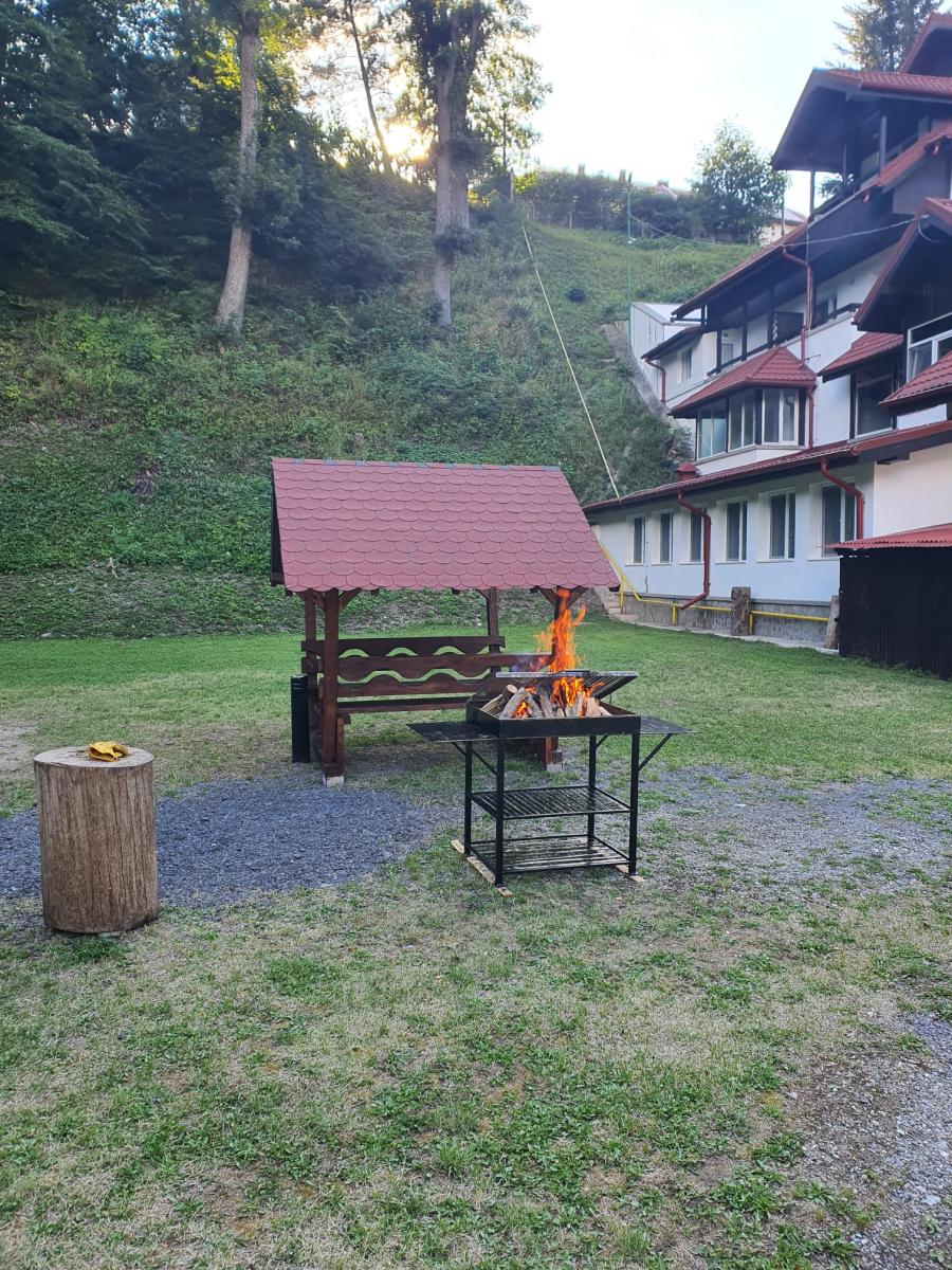 Camera cu priveliste spre munte la Vila Cristal Sinaia